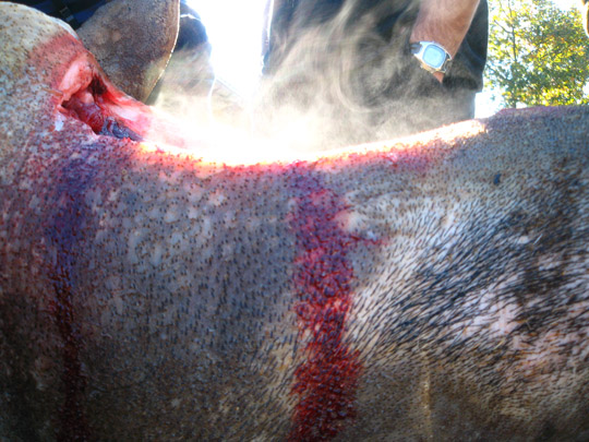  MIKEL URMENETA _ hora de no volver 