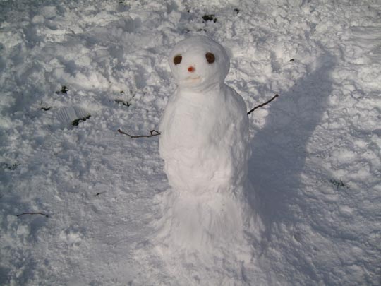  MIKEL URMENETA _ jacko 