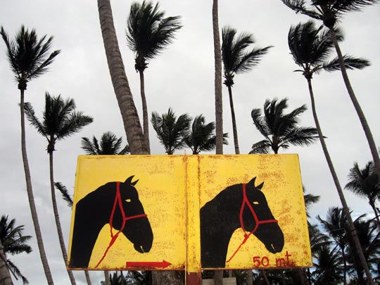  MIKEL URMENETA _ jacos y cocos 