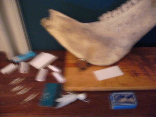  MIKEL URMENETA _ jamón de camello 