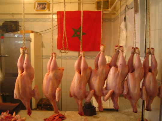  MIKEL URMENETA _ la gripe 