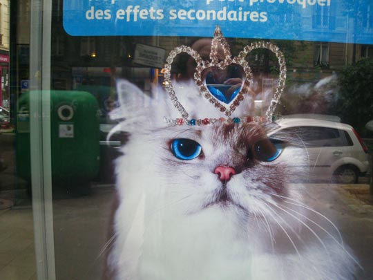  MIKEL URMENETA _ la reina de francia 