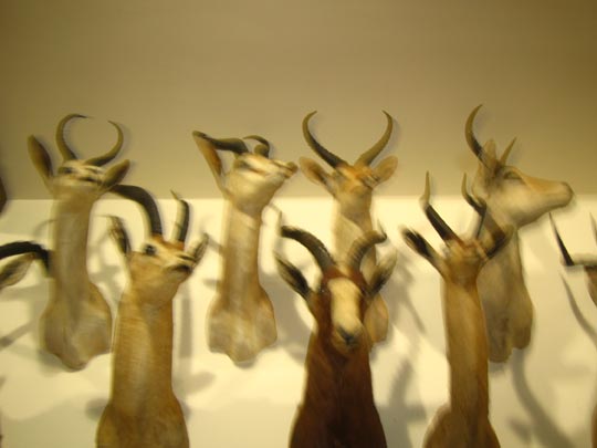  MIKEL URMENETA _ los novios de mis amantes 