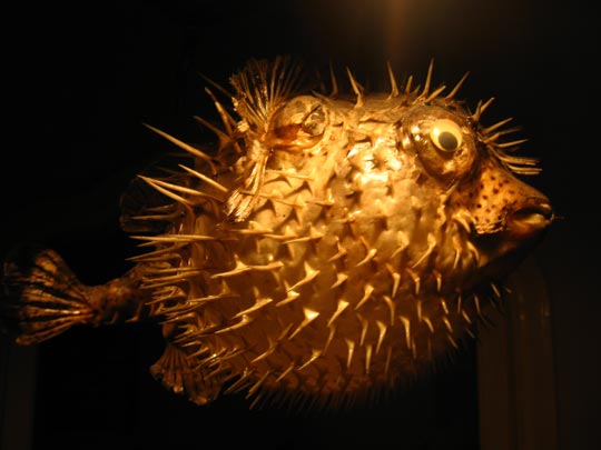  MIKEL URMENETA _ métetelo por donde te quepa 