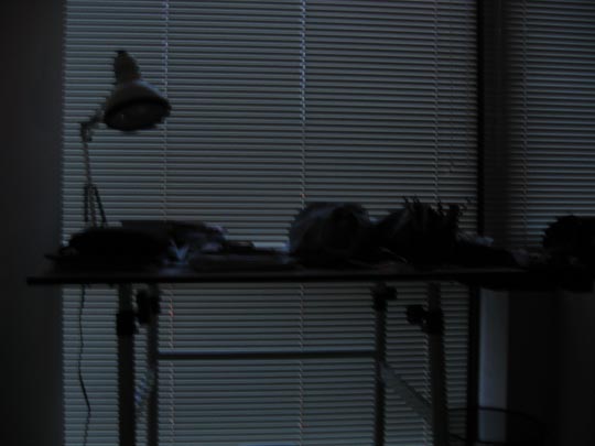  MIKEL URMENETA _ mi cuarto está triste 