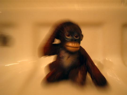  MIKEL URMENETA _ monosabio 