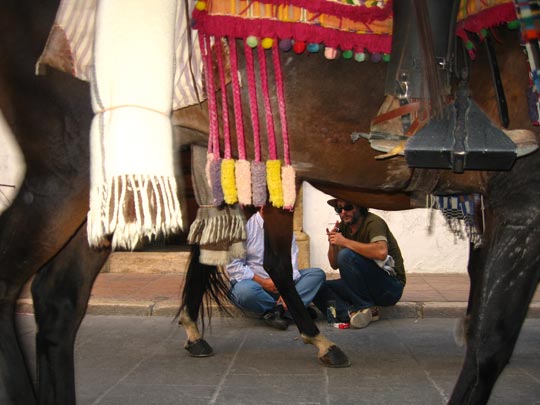  MIKEL URMENETA _ otros se posan 