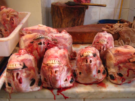  MIKEL URMENETA _ pa-ta-ta 