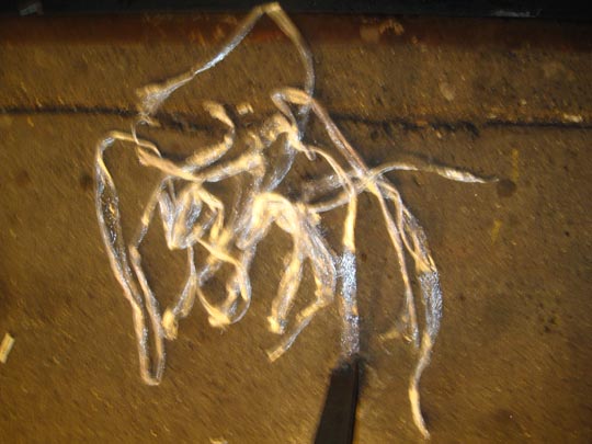  MIKEL URMENETA _ parásito urbano nocturno 