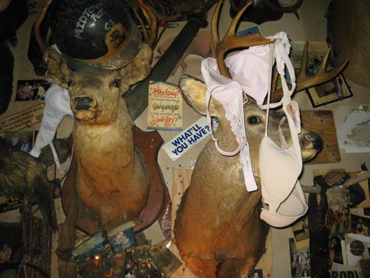  MIKEL URMENETA _ relaciones con el mundo animal (2) 