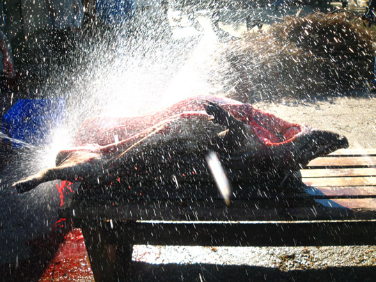  MIKEL URMENETA _ resurrección 