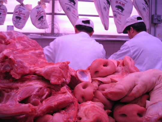  MIKEL URMENETA _ rosas muertas 