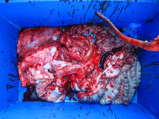  MIKEL URMENETA _ su almuerzo 