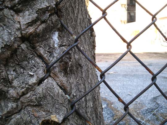  MIKEL URMENETA _ tortura 