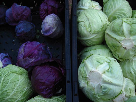  MIKEL URMENETA _ verdura 1 