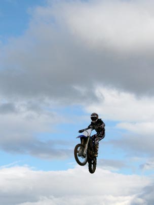  MARTA PEIRÓ _ ave migratoria 