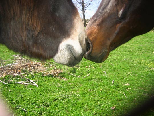  MARTA PEIRÓ _ leve encuentro más bien intenso 2 