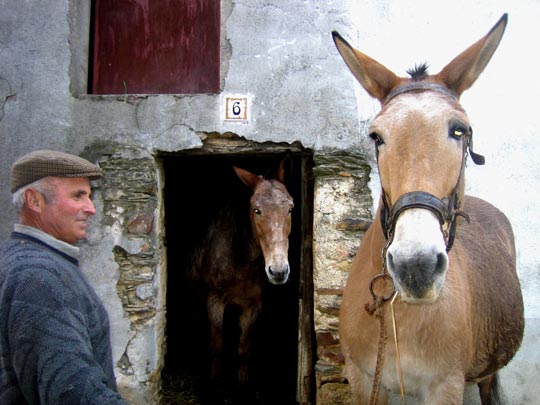  MARTA PEIRÓ _ los del 6 