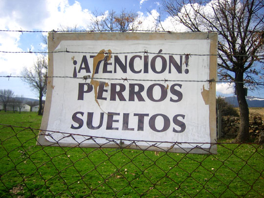  MARTA PEIRÓ _ me han soltado 