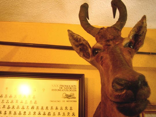  MARTA PEIRÓ _ mi dentista es más guapo que un sol 