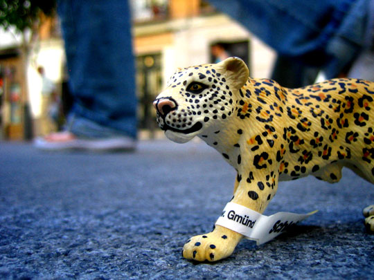  MARTA PEIRÓ _ mira que coisa mais tonta 