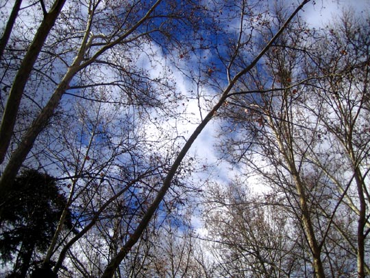  MARTA PEIRÓ _ ¡socorro, me atacan! 