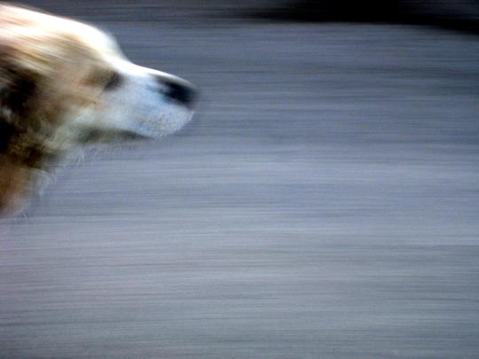  MARTA PEIRÓ _ v=e/t 