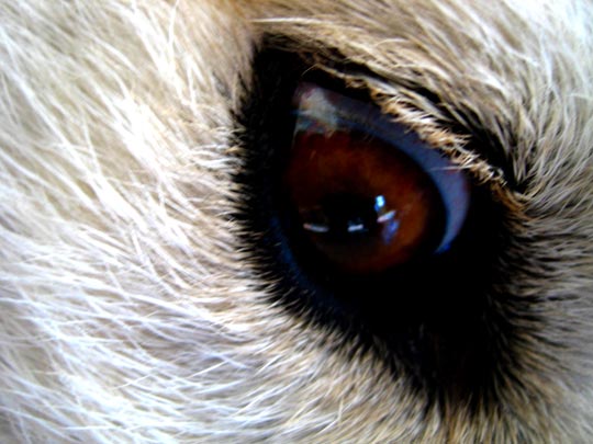  MARTA PEIRÓ _ vístete que nos vamos a misa 