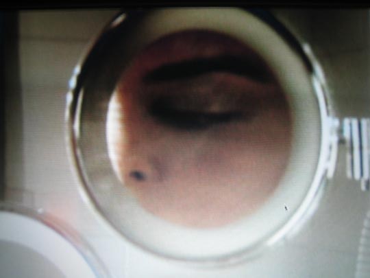  MIQUI PUIG _ the look of love. burt bacharach 