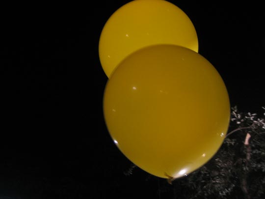  MIQUI PUIG _ the world is your baloon. anthony perkins 