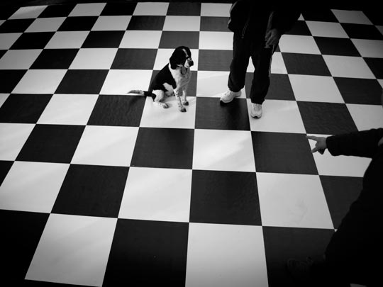  ORIOL BOSCH _ en blanco y negro 