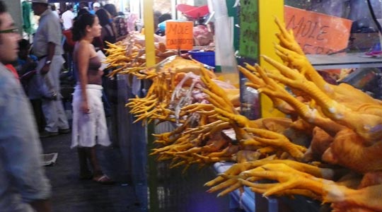  ORIOL BOSCH _ vaya pollo 