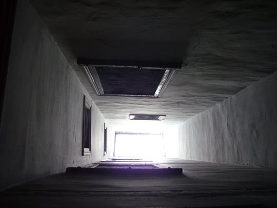  ALICIA OTAEGUI _ al final del túnel 