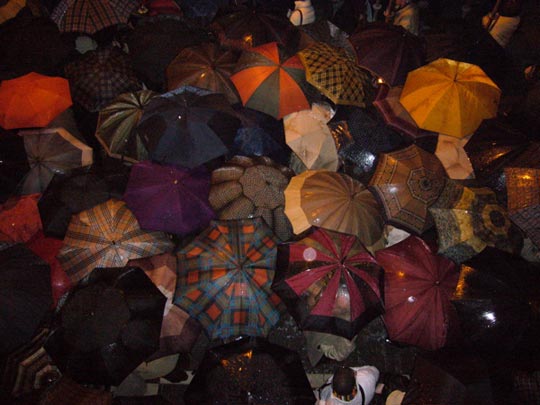  ALICIA OTAEGUI _ asamblea de paraguas 