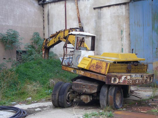  ALICIA OTAEGUI _ avestruz 