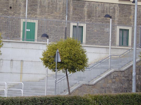  ALICIA OTAEGUI _ beso (con lengua) 