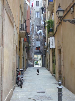  ALICIA OTAEGUI _ calle salsipuedes 