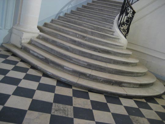  ALICIA OTAEGUI _ cascada 