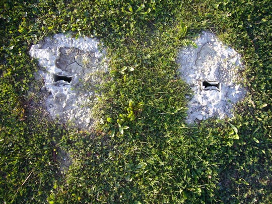  ALICIA OTAEGUI _ césped chino 