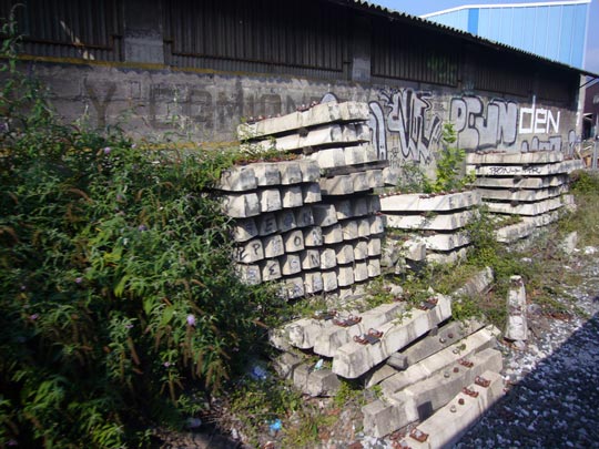  ALICIA OTAEGUI _ crucigrama 