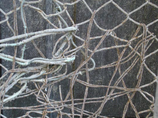  ALICIA OTAEGUI _ debate politico 