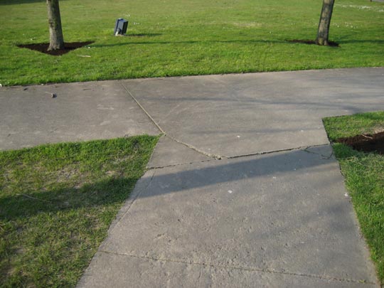  ALICIA OTAEGUI _ divorcio 