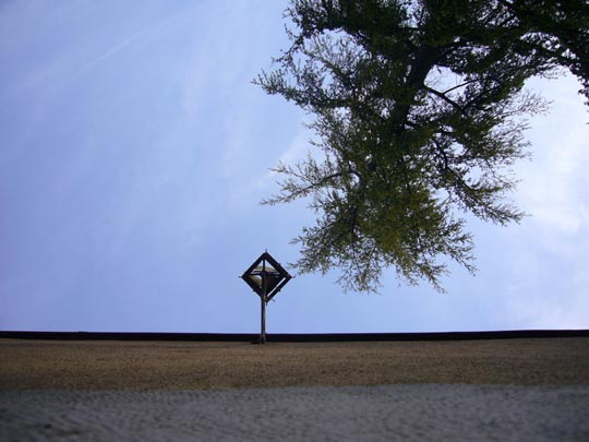  ALICIA OTAEGUI _ el beso 