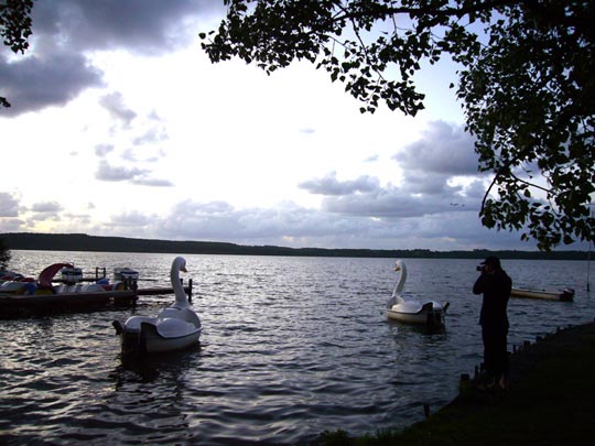  ALICIA OTAEGUI _ el lago de tchaikovski 