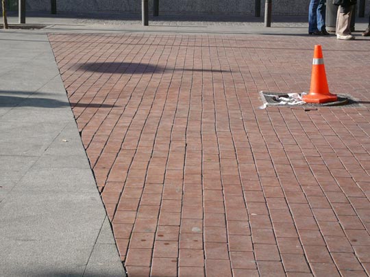  ALICIA OTAEGUI _ el llanero solitario 