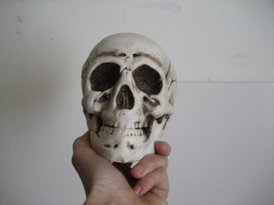  ALICIA OTAEGUI _ el pensador 