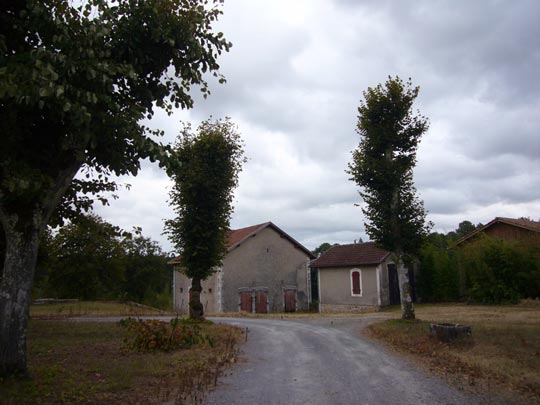  ALICIA OTAEGUI _ enlace matrimonial 