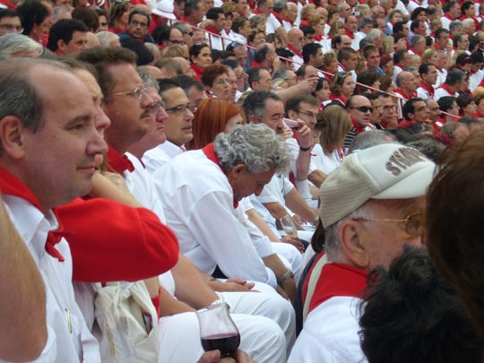  ALICIA OTAEGUI _ espectador insurrecto 