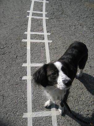  ALICIA OTAEGUI _ esperando al tren 