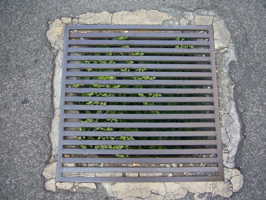  ALICIA OTAEGUI _ esperanza 